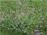a44357c6-Picture 068.jpg